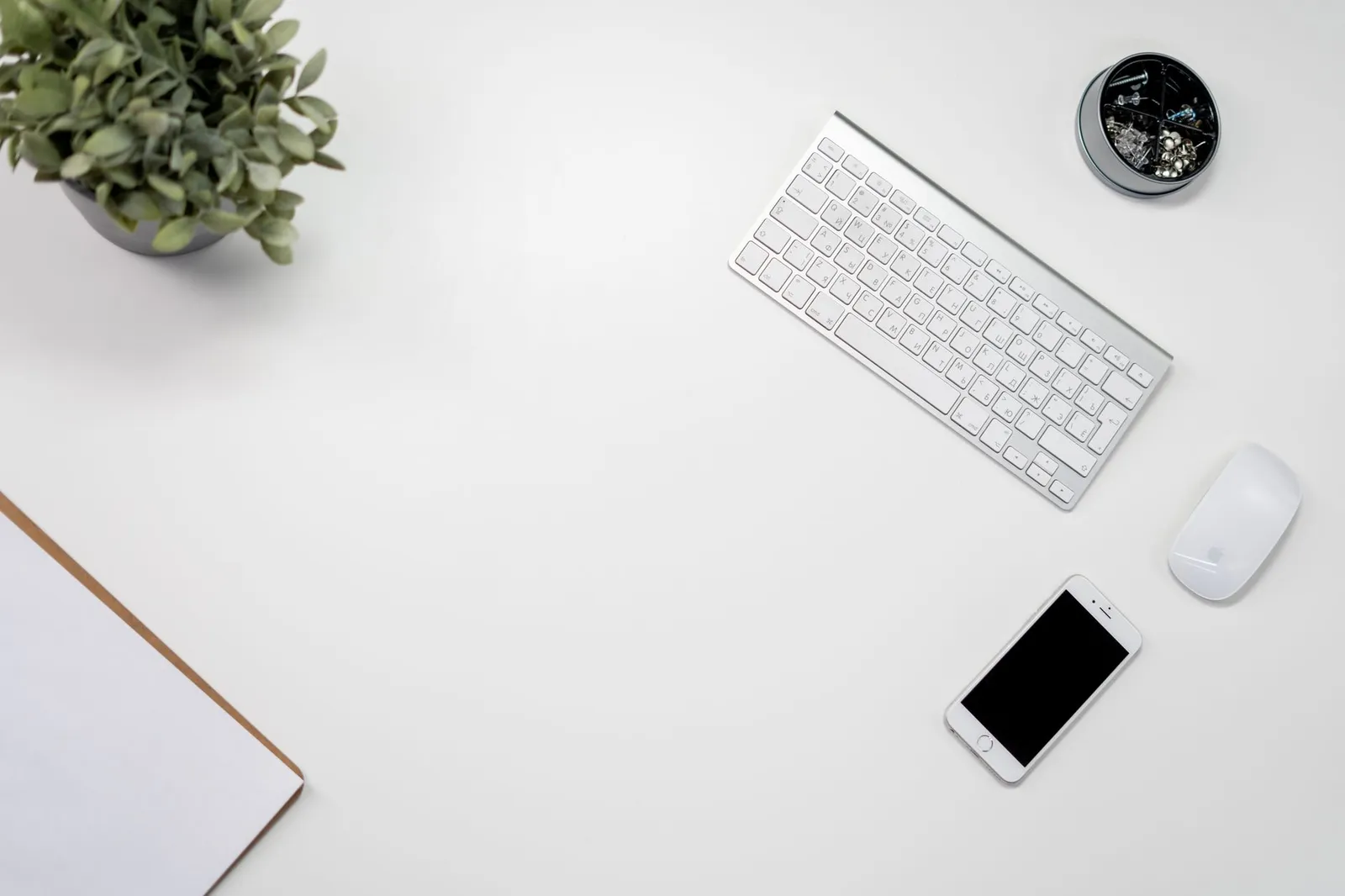 Best Business Credit Cards for Self-Employed and Freelancers